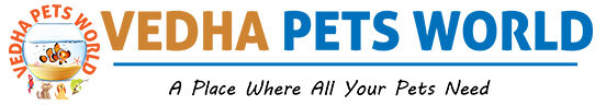 Vedha Pets World